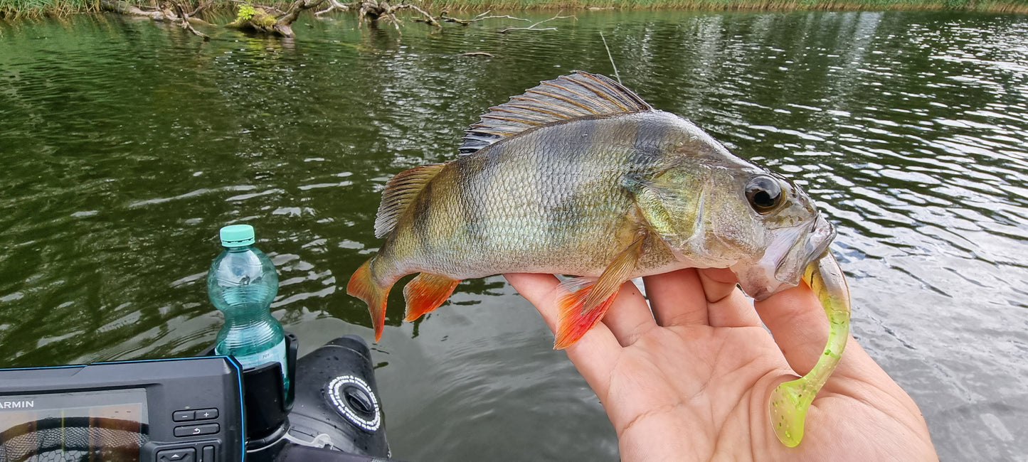Papa Perch